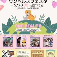 5/28（日）✨高級めだか掬い＆セット販売✨イベント　in大町公園