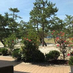 散歩友達募集！茨木市内の散歩好き集合(^^)