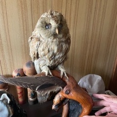 フクロウの置物