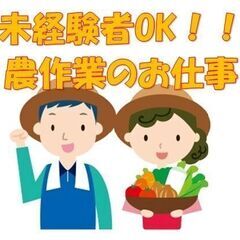 【日払い10000円！！！】1日だけもOK!!簡単作業♪田植えの...