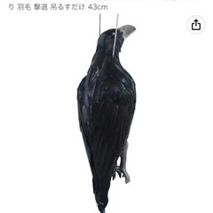 ダミーカラス　