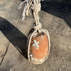 たこ壺　オブジェの画像