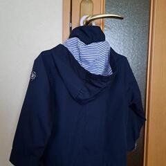 100cmビーミングbyビームスの画像