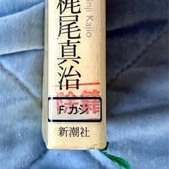 書籍 あねのねちゃんの画像