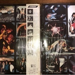 rainbow レコード　ファイナルヴァイナル　2枚組　ハガキもありますの画像
