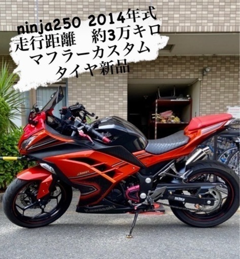 カワサキ ninja250