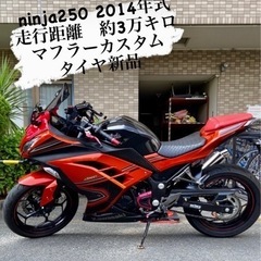 ninja250