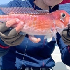【5月27日（土）】真鶴でマイボート釣り🚤‼️
