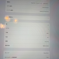 Ipad pro アイパッドプロ12.9 4世代　cell SIMフリー