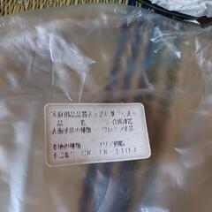 お話し中《新品未使用》コースターの画像