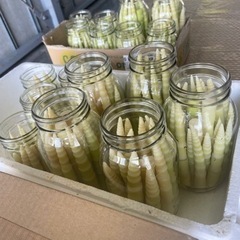 筍　たけのこ　瓶詰め　加工品