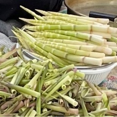 筍　たけのこ　瓶詰め　加工品の画像