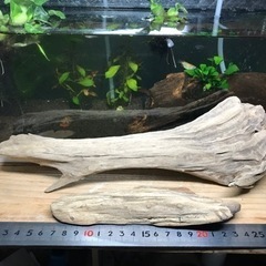 【お取引中】流木