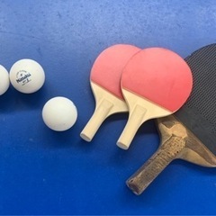 一緒に卓球しましょう🏓✨
