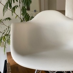 <譲渡先決定しました>白いイス　2脚セットの画像
