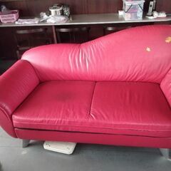 剥げあり ソファー デザイン ソファの画像
