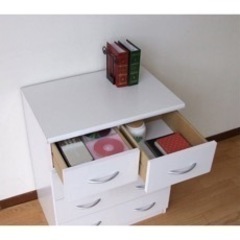 色白  小型の画像