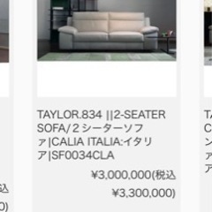 入手困難！海外直輸入最高級ソファCALIA ITARIA製高級ソファー