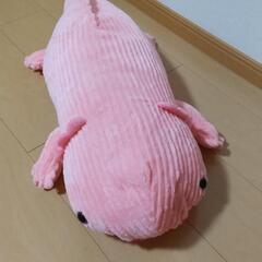 ぬいぐるみ　ウーパールーパー