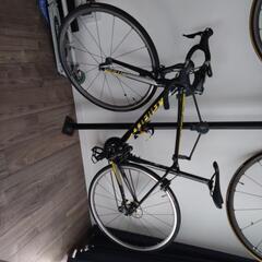 Giant TCR SLR2