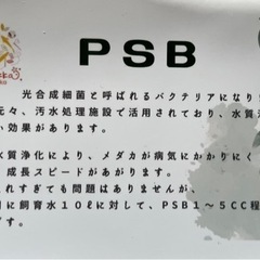 PSB めだか飼育用品　そら野テラスで販売の画像