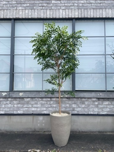 観葉植物　フェイクグリーン