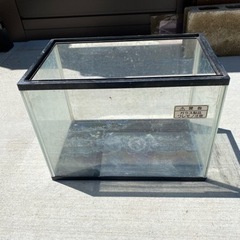 水槽　36cm×26cm×22cm 【取引中】