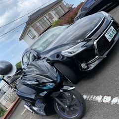 10/5まで！PCX JF81バイク デビルマスク 