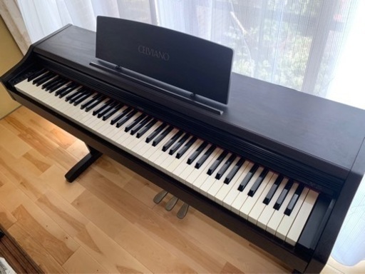 AP-25 CASIO 2001年製中古