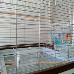 ホーエイの大きめのゲージ。鳥かご。