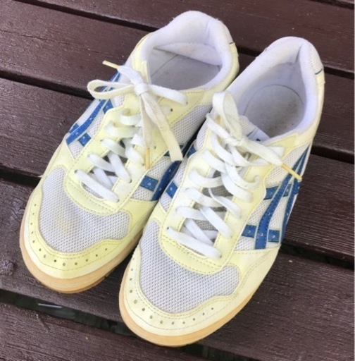 アシックス 体育館シューズ  23.5