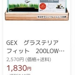ＧＥＸ　グラステリア　フィット　２００ＬＯＷ　小型フレームレス水槽の画像