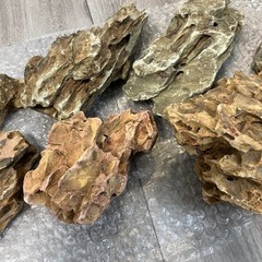 水槽レイアウト用　石セットの画像