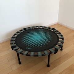 健康器具　diet Step