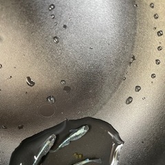 輝黒龍　めだか　