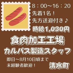 【日払い・週払い可！】カルパスのカットや箱詰め作業等 即日～8月...