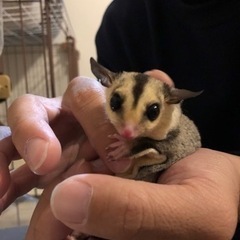 里親様　決まりました。