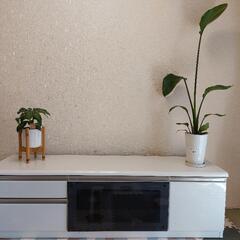 三幸ジャパン　テレビ台　SHINE150
