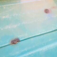 軽トラック 荷台 FRPカバー 防水 ボックス 魚屋の画像