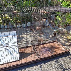 猫　ゲージ　あげます　　無料