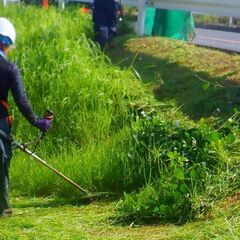 草むしり、草刈などの軽作業！！仕事で自然に触れてみませんか？の画像