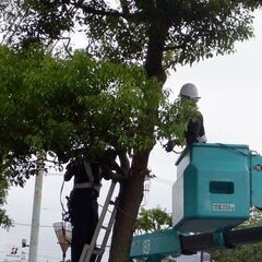 草むしり、草刈などの軽作業！！仕事で自然に触れてみませんか？の画像