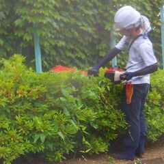 仕事で自然に触れ合える！草むしり、草刈のアルバイト！