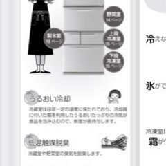 東芝 GR-43ZX 冷蔵庫　ファミリー　お話中の画像