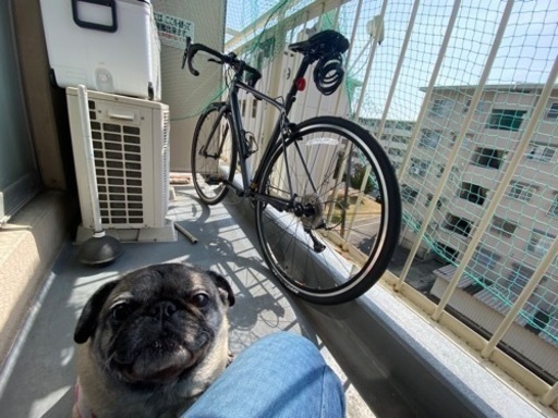 ロードバイク売ります！