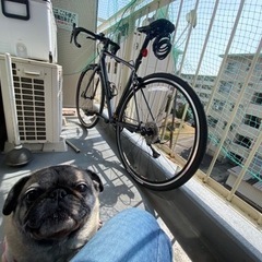 ロードバイク売ります！