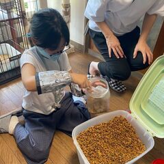 保護猫＆保護犬ボランティアさん募集中！！ - ボランティア