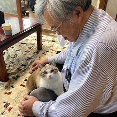 保護猫＆保護犬ボランティアさん募集中！！ − 兵庫県