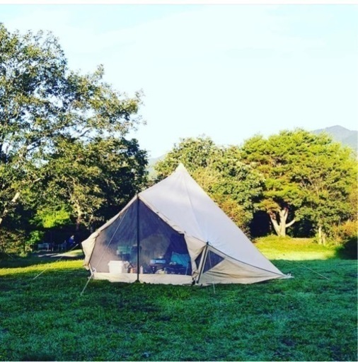 サバティカル モーニンググローリーTC