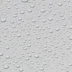 ボディ磨き＆お手頃強力ガラス系コーティングの画像